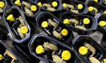 Sicurezza: Fi, meglio il ‘laccio’ Bola Wrap che Taser, Viminale valuti